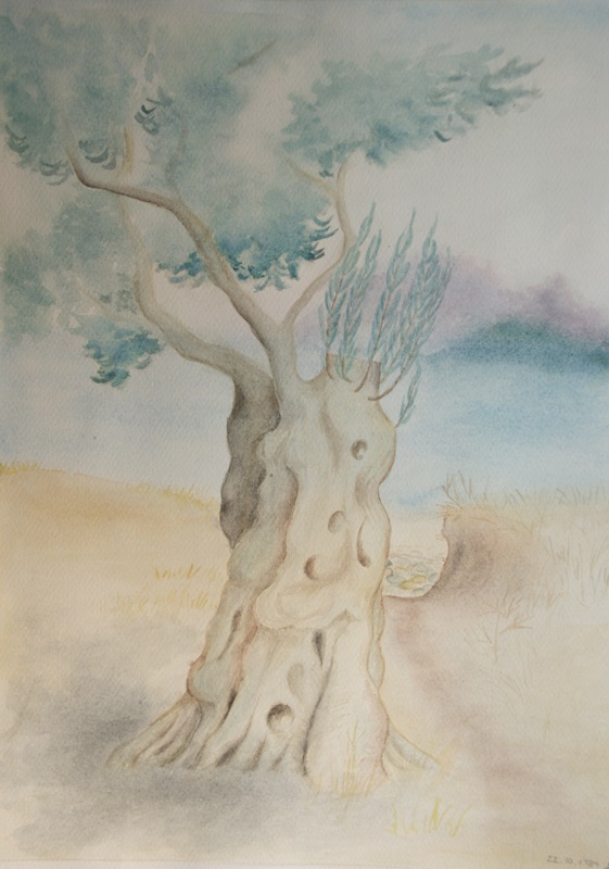 Aquarell Olivenbaum